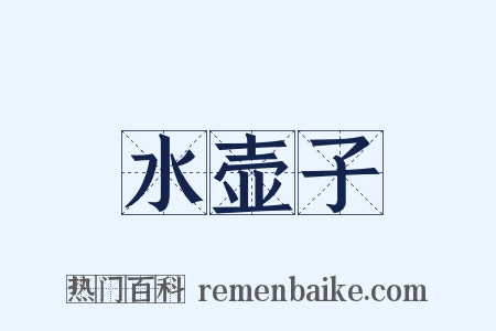 水壶子是什么意思的图片